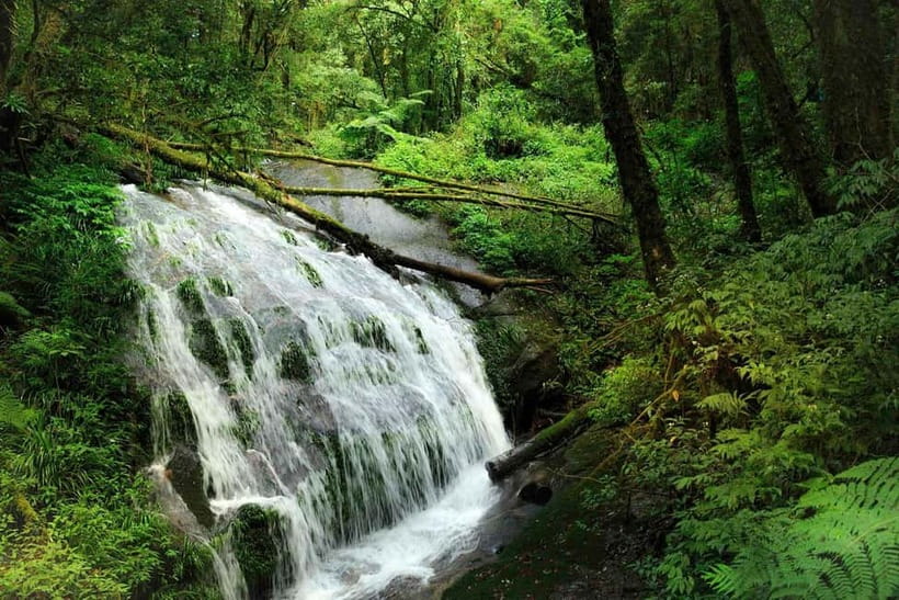 Chiang Mai: Doi Inthanon Trip with Pha Dok Siew Guided Trek - Pha Dok Siew, the walk that earns the day