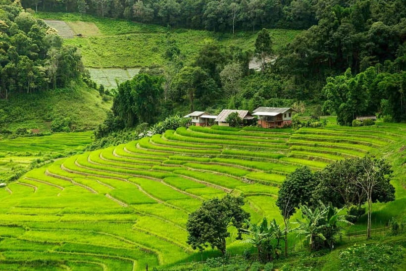 Chiang Mai: Doi Inthanon Trip with Pha Dok Siew Guided Trek - The early ride from Chiang Mai