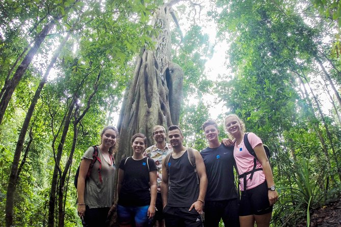 Chiang Mai: Doi Suthep Summit Trek – 7 Hour Pure Hiking Adventure - Key points before you book