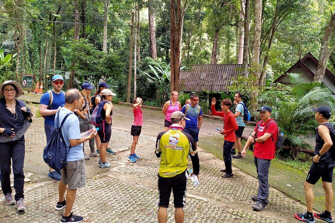 Chiang Mai: Doi Suthep Summit Trek – 7 Hour Pure Hiking Adventure - A mountain day that earns its views