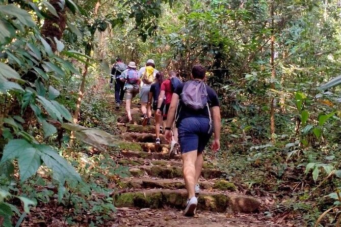 Chiang Mai: Doi Suthep Summit Trek – 7 Hour Pure Hiking Adventure - Reaching Wat Phra That Doi Suthep