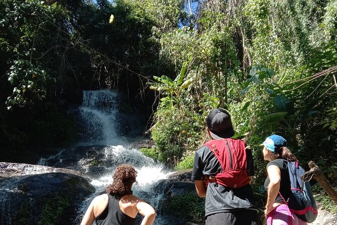 Chiang Mai: Doi Suthep Summit Trek – 7 Hour Pure Hiking Adventure - Starting on the Monk’s Trail