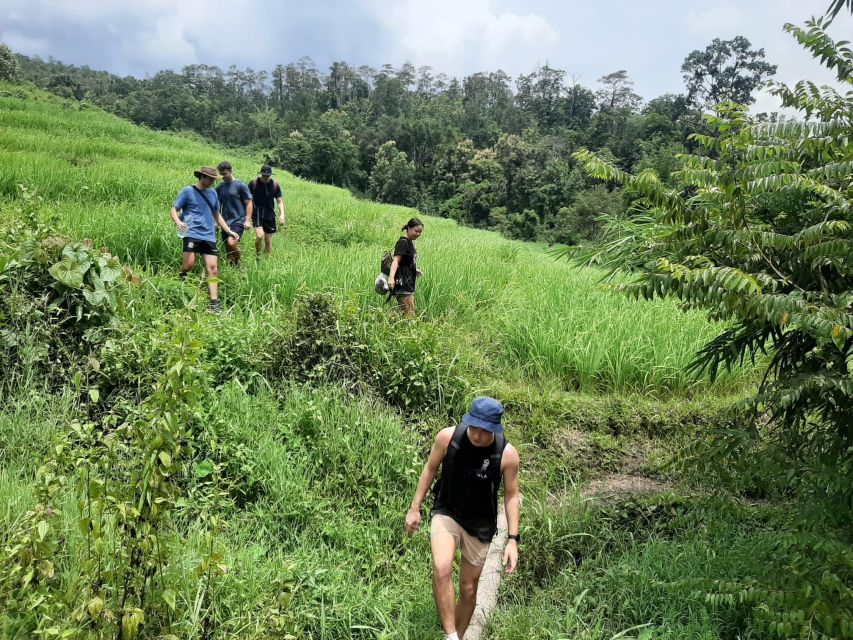 Chiang Mai: Elephant Sanctuary & Jungle Trek w/ Waterfall - Key points at a glance