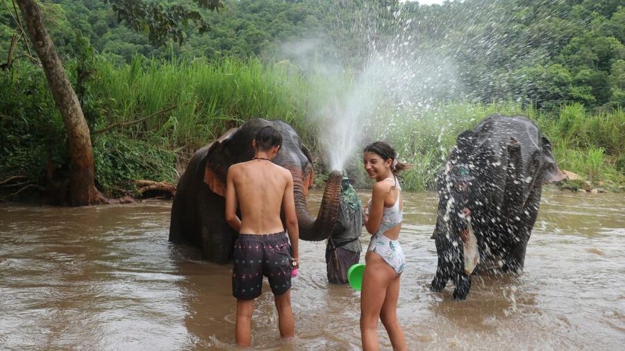 Chiang Mai: Elephant Sanctuary & Jungle Trek w/ Waterfall - Who should book this Chiang Mai day trip?