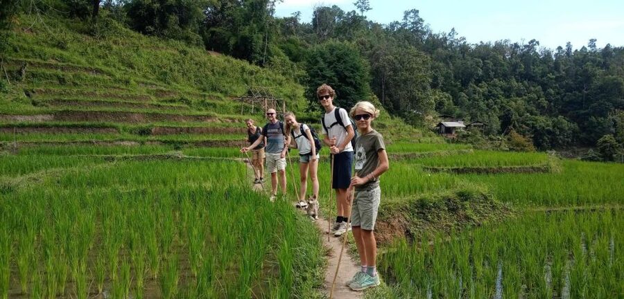 Chiang Mai: Elephant Sanctuary & Jungle Trek w/ Waterfall - Lunch in a Shan village