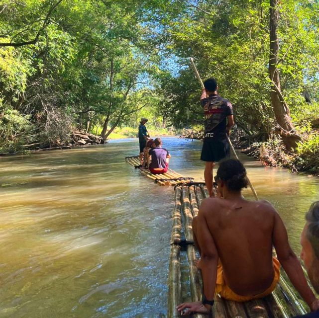 Chiang Mai: Elephant Sanctuary & Jungle Trek w/ Waterfall - What $61 actually gets you