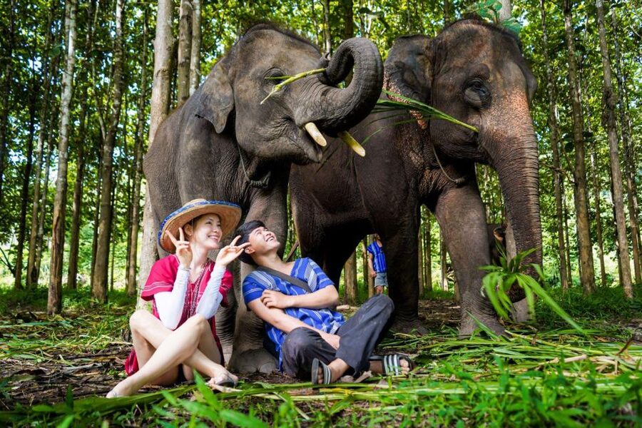 Chiang Mai: Full-Day Kerchor Elephant Eco Park Tour & Trek - Bamboo rafting on a shallow, sometimes muddy river