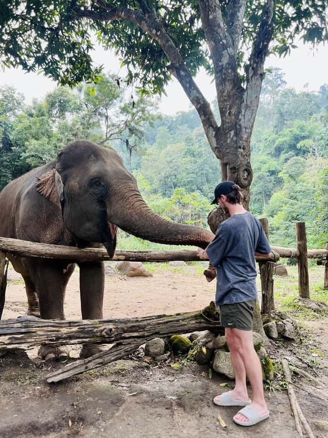 Chiang Mai Full-Day: Trekking, Tubing & Elephant Observation - Tubing the Mae Taeng River near Elephant Nature Park
