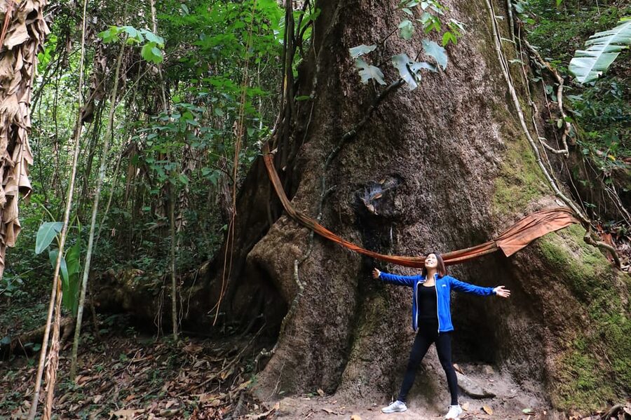 Chiang Mai: Gibbons, Trekking & Mae Kampong Small Group Tour - Why This Chiang Mai Day Trip Feels Different