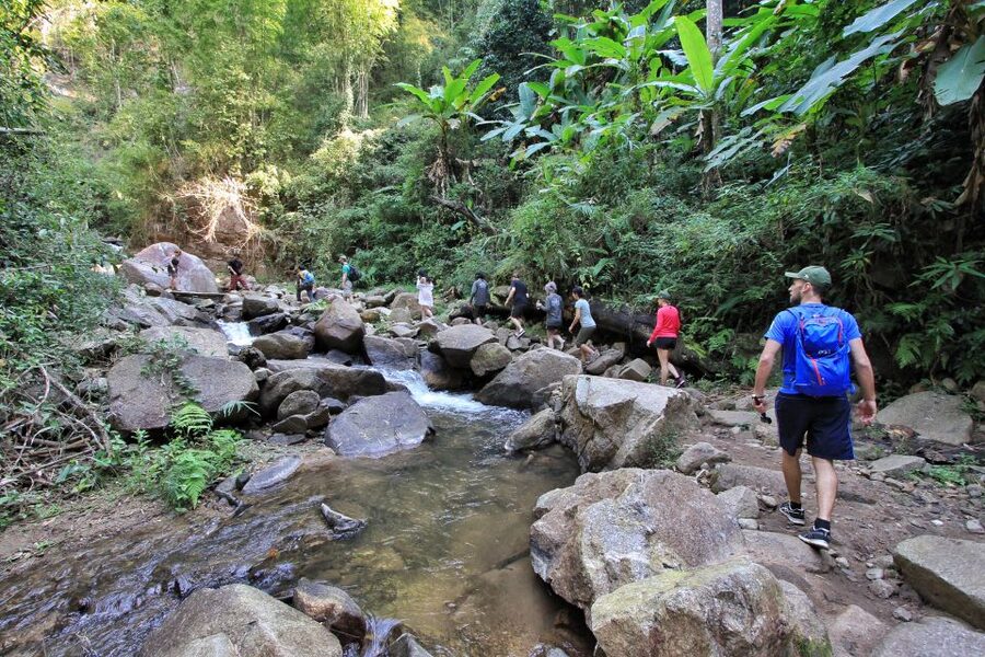 Chiang Mai: Guided Jungle and Waterfall Trek with Transfer - Who should book this jungle trek
