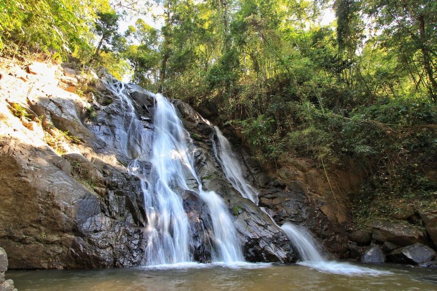 Chiang Mai: Guided Jungle and Waterfall Trek with Transfer - Booking details to keep in mind