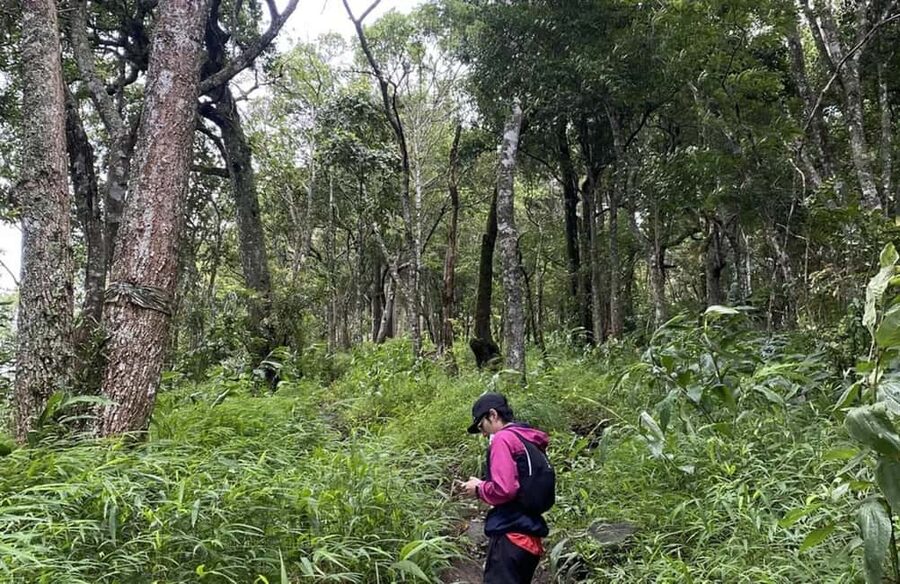 Chiang Mai: Hmong Village, Doi Suthep and Wat Pha Lat Trek - Walking the Monk’s Trail