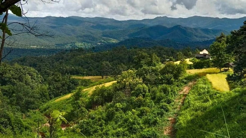 Chiang Mai: Jungle Trek, Elephants care & Bamboo Rafting - Meeting the Karen Hill Tribe Village
