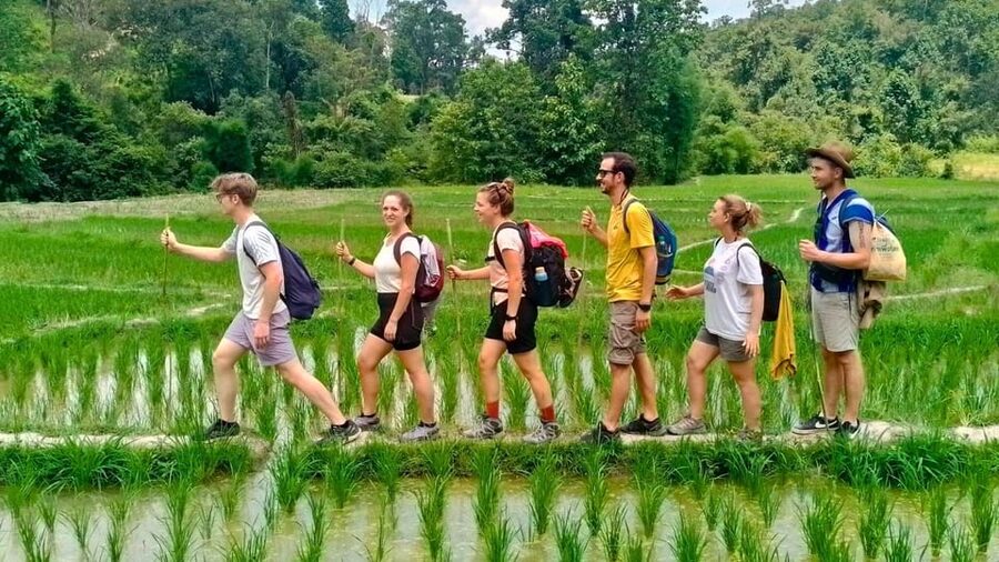 Chiang Mai: Jungle Trek, Elephants care & Bamboo Rafting - The elephant-care question needs an answer
