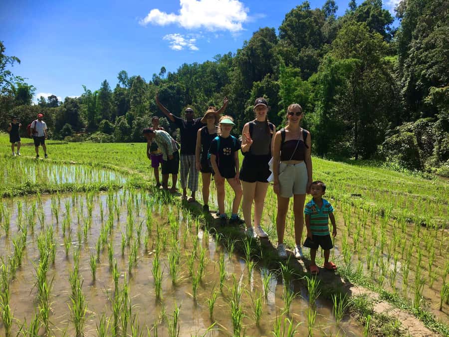 Chiang Mai: Karen Tribe & Dual Waterfalls - Private Day Trek - The first waterfall and a chance to swim