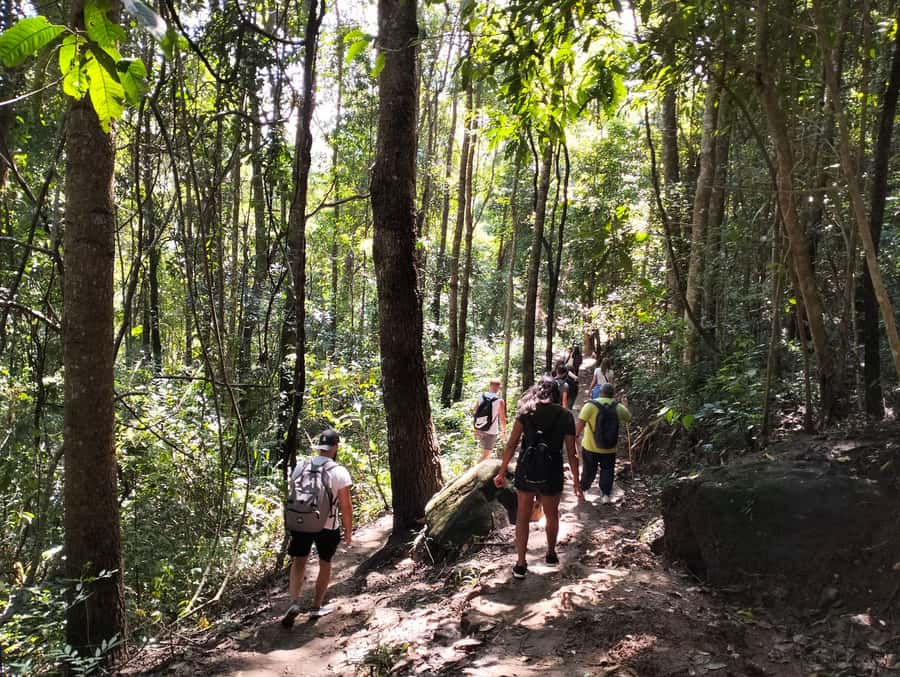 Chiang Mai: Mae Ya Waterfall & Pha Dok Siew Trail Trek - Why this Chiang Mai day trip works