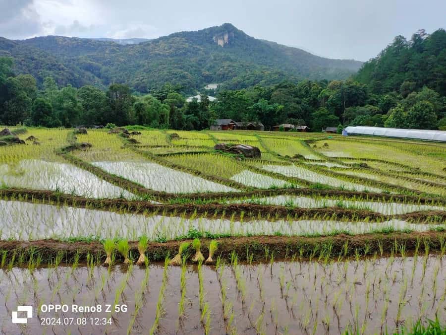 Chiang Mai: Mae Ya Waterfall & Pha Dok Siew Trail Trek - Pha Dok Siew is the active heart of the day