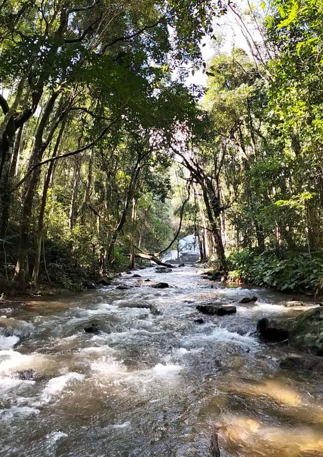 Chiang Mai: Mae Ya Waterfall & Pha Dok Siew Trail Trek - Who should choose this experience