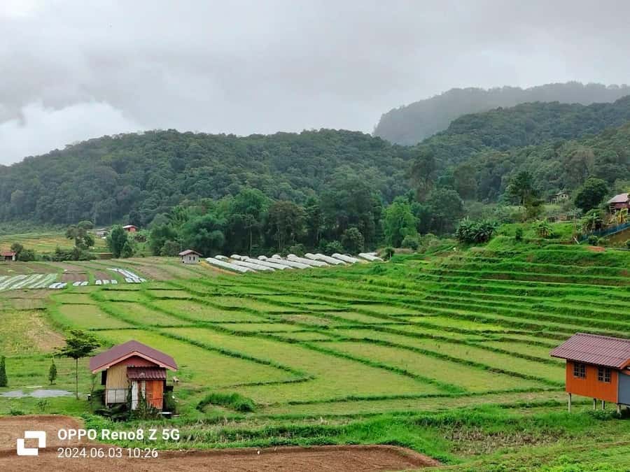 Chiang Mai: Mae Ya Waterfall & Pha Dok Siew Trail Trek - Should you book this Chiang Mai waterfall day?