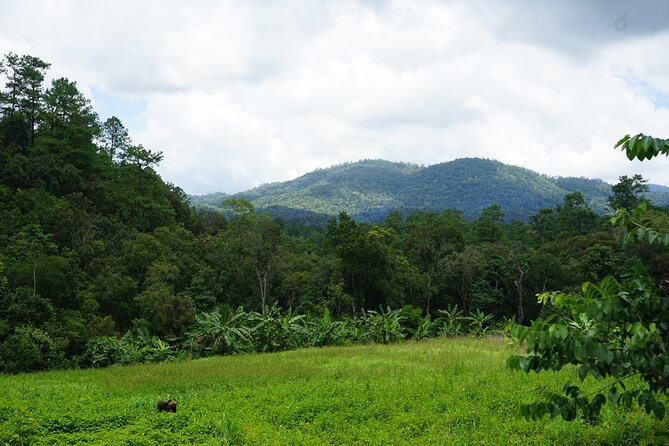 Chiang Mai Trekking Tour :Full day (no rafting) - What the $64.53 price really covers