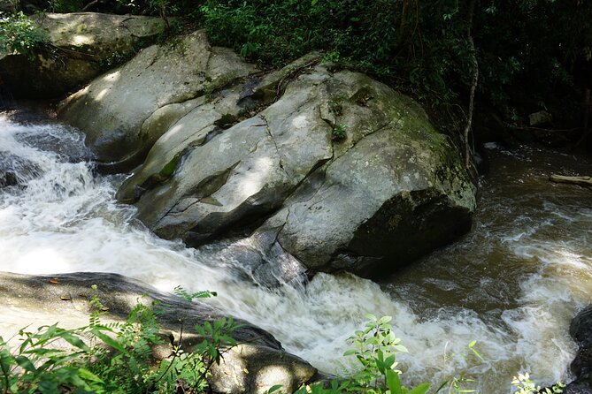 Chiang Mai Trekking Tour :Full day (no rafting) - Who will enjoy this Chiang Mai trek most
