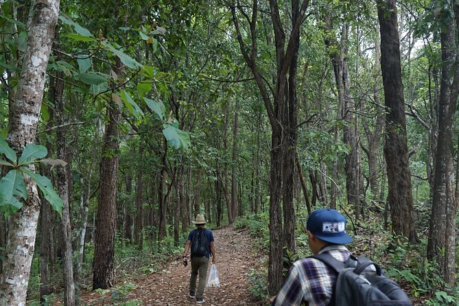 Chiang Mai Trekking Tour :Full day (no rafting) - Meeting the elephants at Elephant Pride Sanctuary
