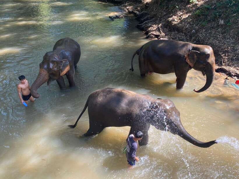 Chiang Mai Untouched Elephant: Nature Walk & Waterfall Trek - The road from Chiang Mai to the mahout village
