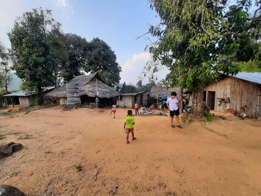 Chiang Rai 1 Day Jungle Trek with Bamboo Lunch & Local Guide - Practical preparation for the trail