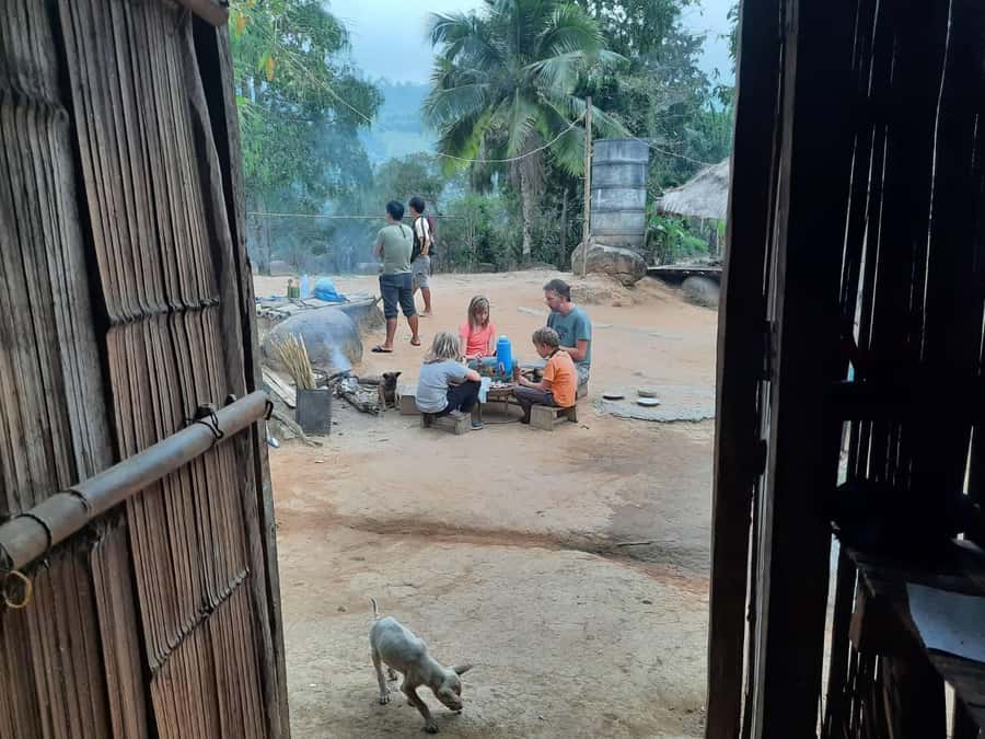 Chiang Rai 1 Day Jungle Trek with Bamboo Lunch & Local Guide - A full day beyond Chiang Rai city