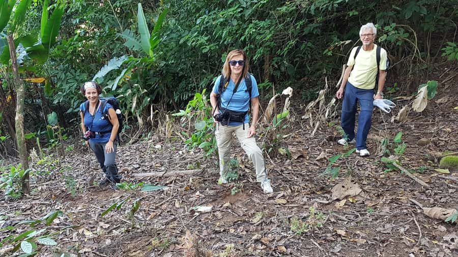 Chiang Rai 1 Day Jungle Trek with Bamboo Lunch & Local Guide - The return route through Doi Hang