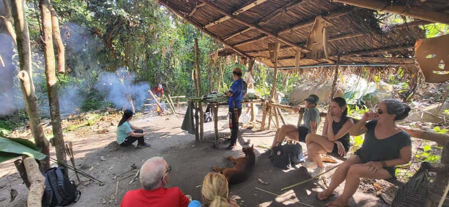 Chiang Rai 1 Day Jungle Trek with Bamboo Lunch & Local Guide - Bamboo forest, rice fields, and working farmland