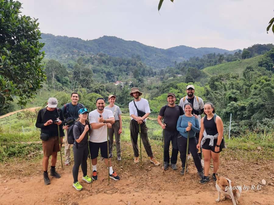 Chiang Rai: 2-Day Jungle Trek only walk with Waterfall - What this Chiang Rai trek is really about