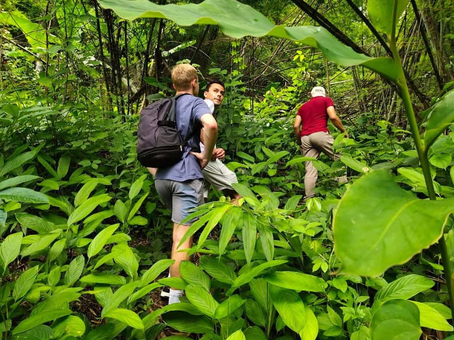 Chiang Rai: Jungle Adventure-Group Trekking & Bamboo Cooking - A bamboo kitchen halfway through the Chiang Rai hills