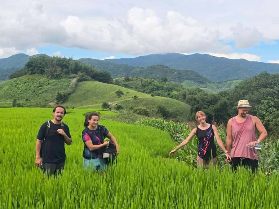 Chiang Rai: Jungle Adventure-Group Trekking & Bamboo Cooking - Who should book this Chiang Rai trek