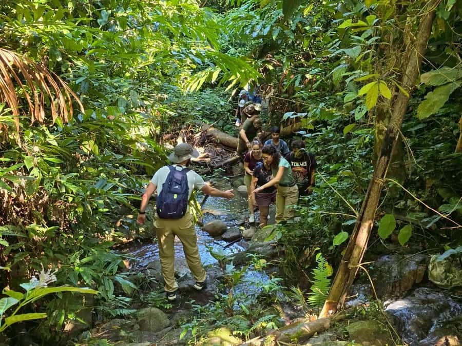 Chiang Rai: Jungle Adventure-Group Trekking & Bamboo Cooking - The hike is manageable, but not for every walker