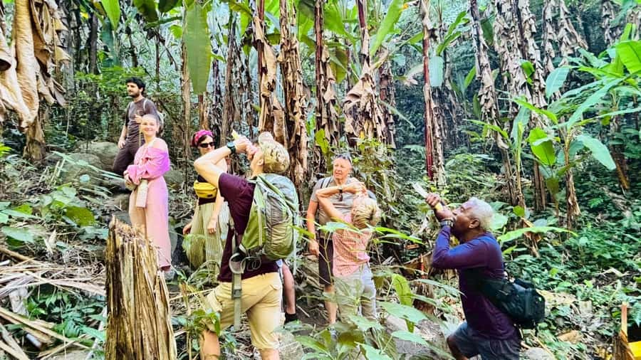Chiang Rai: Jungle Adventure-Group Trekking & Bamboo Cooking - A cold waterfall after the long walk