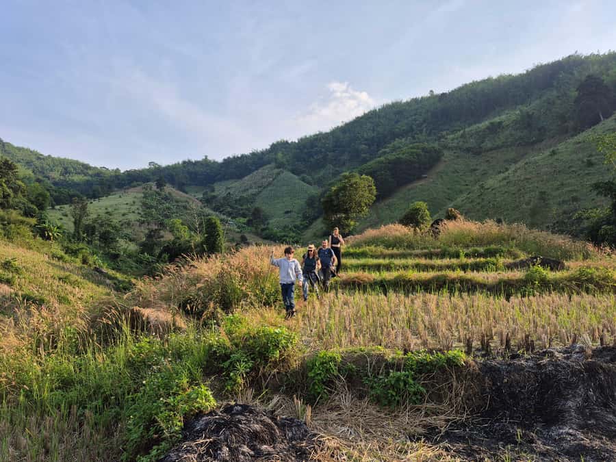 Chiang Rai Jungle Trek & Bamboo Tube Cooking Adventure - Akha and Lahu villages, then the forest return
