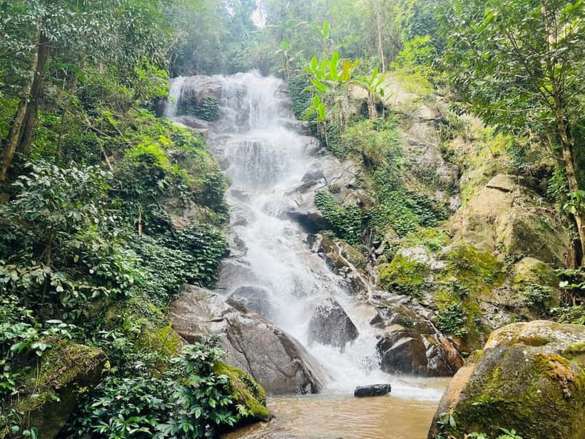 Chiang Rai: The Adventure of Trekking & Bamboo Cooking - Key points at a glance