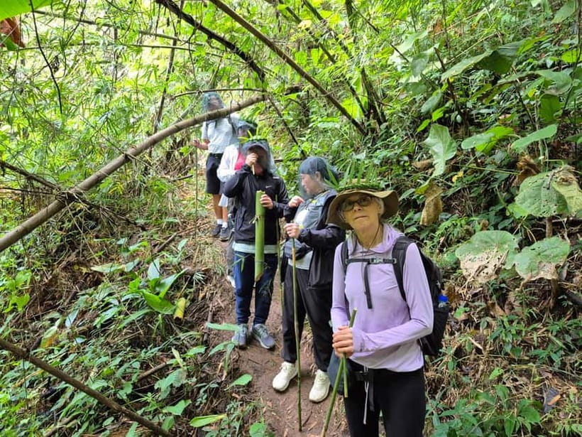 Chiang Rai: The Adventure of Trekking & Bamboo Cooking - Who will enjoy this Chiang Rai trek