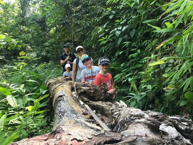 Chiang Rai Trek: 4 Hilltribes Villages & Waterfall Only Walk - Huay Kaew Waterfall, the day’s best cooldown