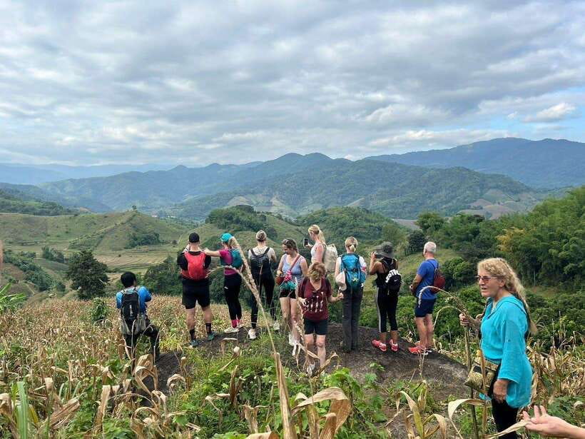 Chiangrai: Group Trekking with Bamboo Cooking - A forest lunch that feels genuinely hands-on