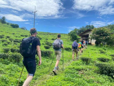 Chiangrai: Group Trekking with Bamboo Cooking