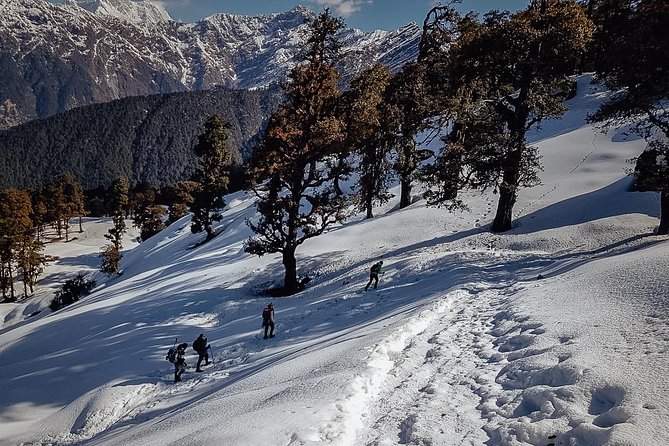 Chopta Trek - What this four-day Chopta trek is really like