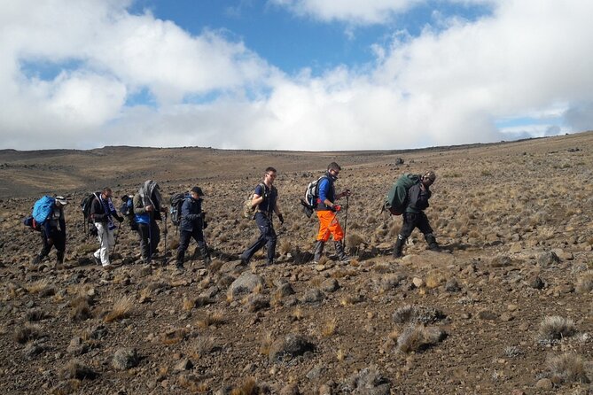 Climb Kilimanjaro - Lemosho Route 7 Day Climb - Key points to know before you book