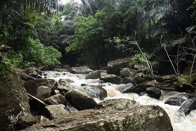 Climb Kilimanjaro - Lemosho Route 7 Day Climb - Why the Lemosho Route is worth considering