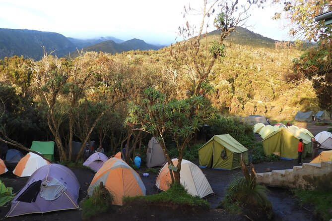 Climb Kilimanjaro - Lemosho Route 7 Day Climb - Day 3: moorland and the first clear view of Kibo
