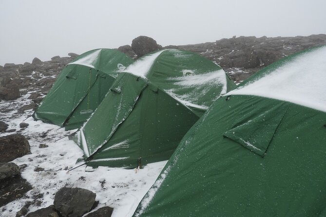 Climb Kilimanjaro - Lemosho Route 7 Day Climb - Day 5: Lava Tower gives the climb its first real test