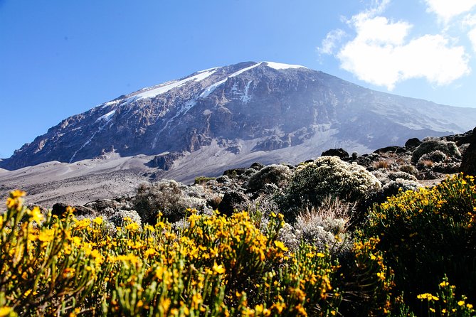 Climb Kilimanjaro - Marangu Route 8 Day Program - Why the Marangu Route feels different