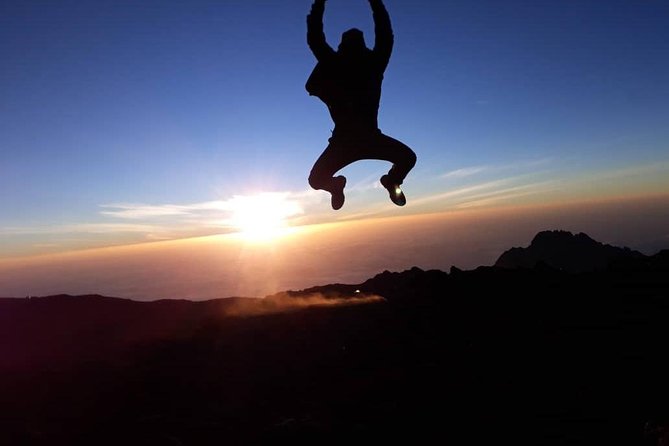 Climbing Kilimanjaro - Machame Route - Day 2: Moorland and the Shira Plateau