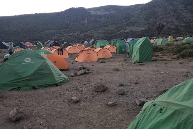 Climbing Kilimanjaro - Machame Route - Day 6: Mweka Gate and the return to Moshi
